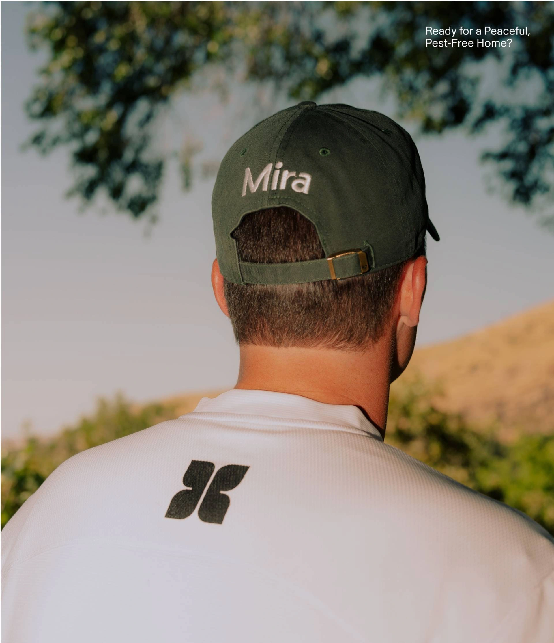 Mira Home brand visual